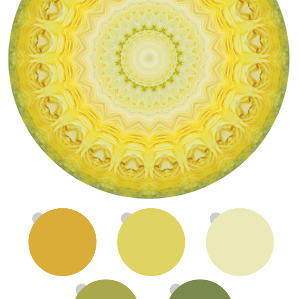 Color Inspiration 49 PPG @voiceofcolor